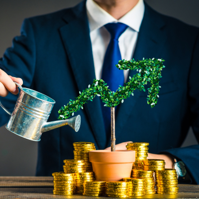 Potted Plant, Plant, Vase